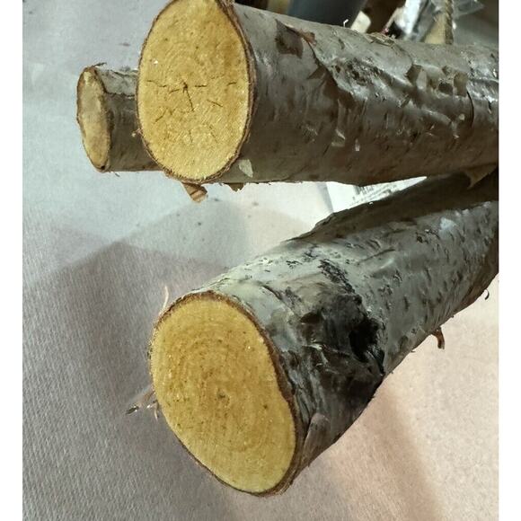 Birch Wood Log Bundle Holiday Set Of 3 (16 Inches) Ashland Floral Arranging - Picture 7 of 9